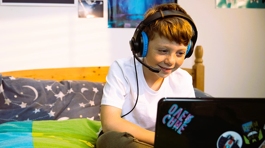 Cyberbullying and Safety in Online Games